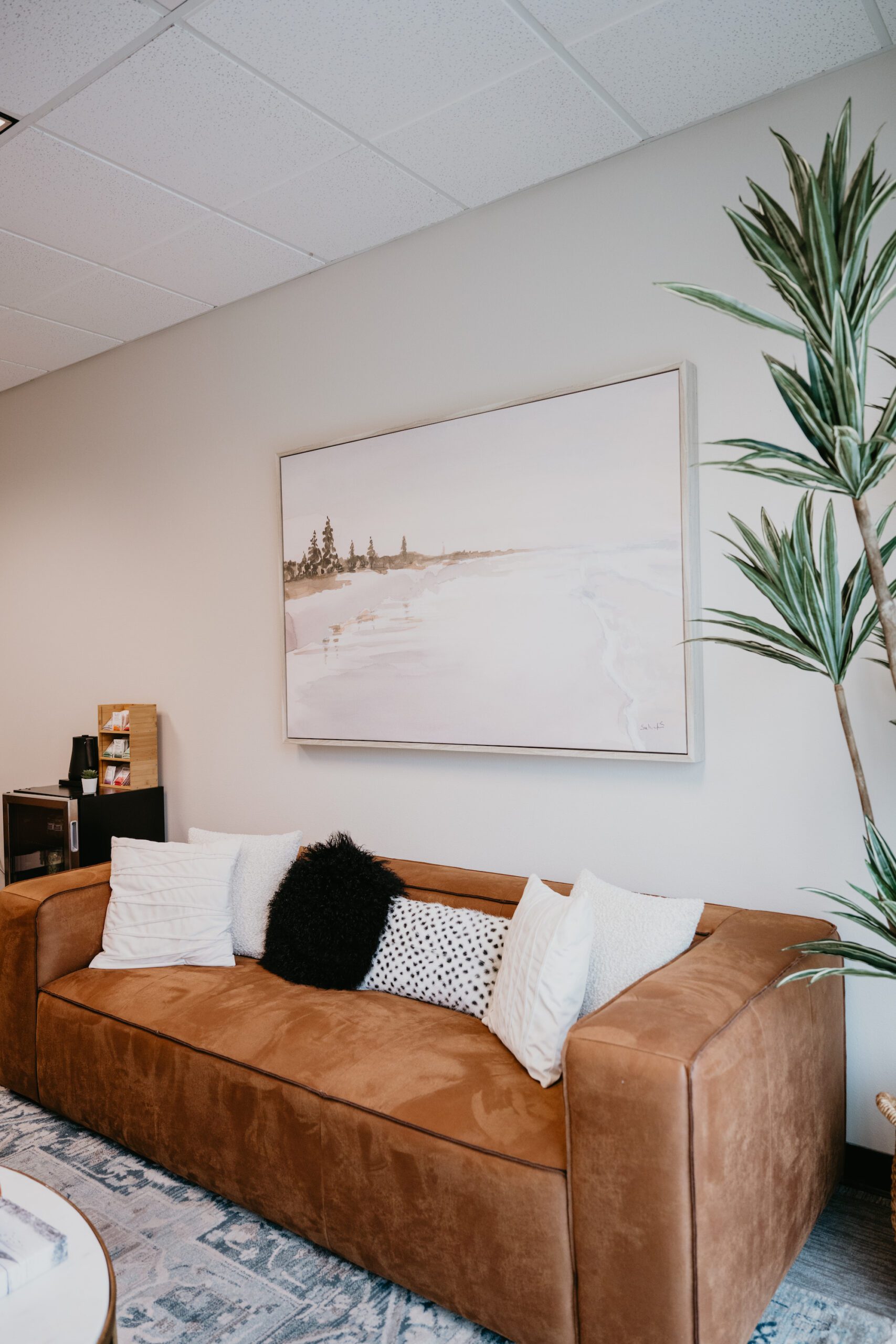 insurance information for the peaceful mind counseling center | The Peaceful Mind Counseling Center